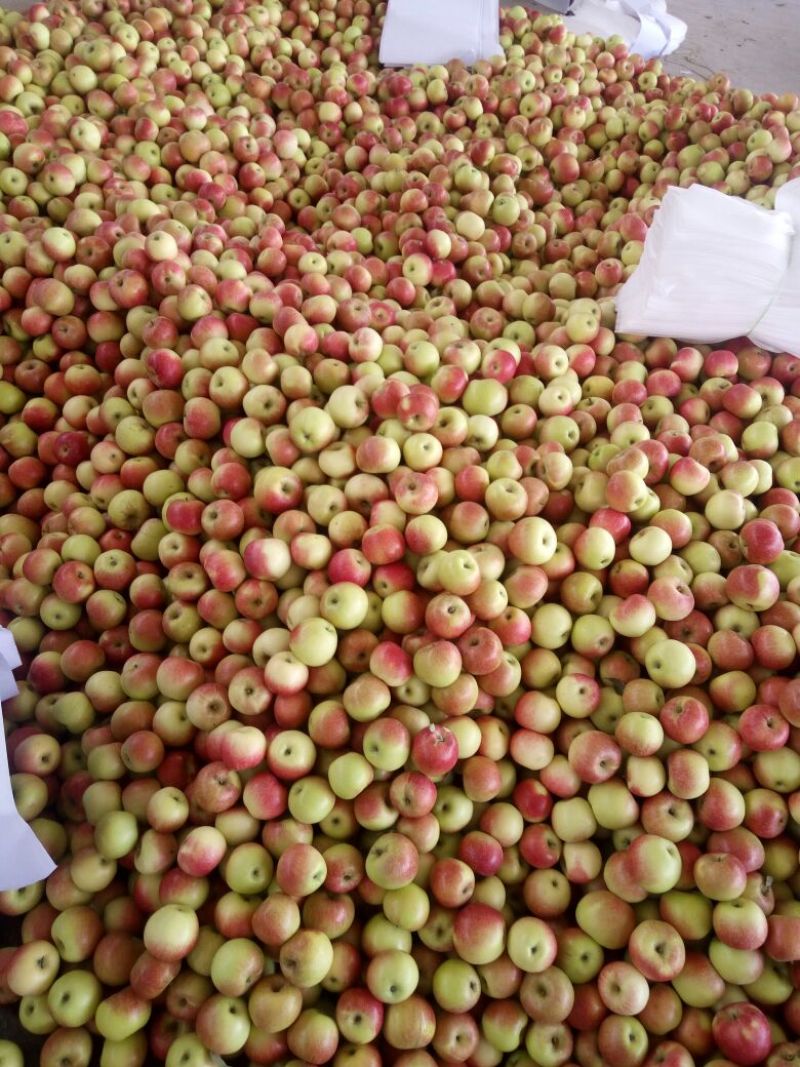 美八苹果上市了