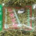 张家口蔚州特产菜豆角丝架豆王新货大量供应