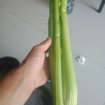 芹菜