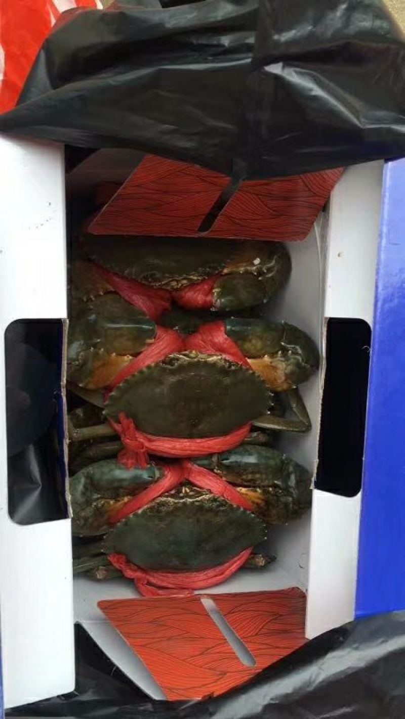 青门蟹