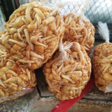 滑子菇鲜品质量好