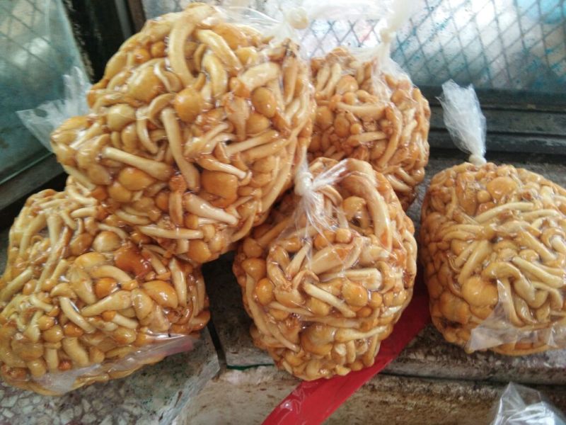 滑子菇鲜品质量好