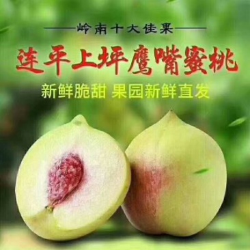 正宗翁源鹰嘴桃和三华李