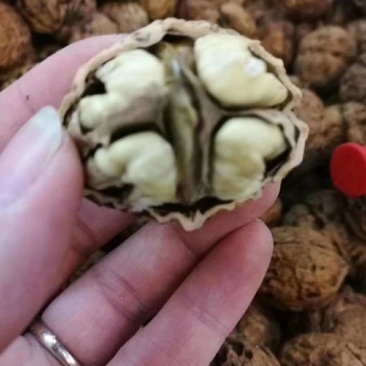 核桃麻子核桃，肉白皮薄！