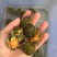 纯种火焰龟苗7-12克(3-5厘米)