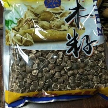 辣木籽