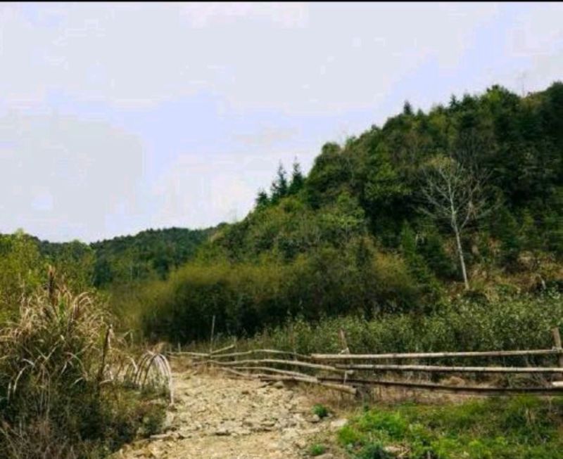 500亩山地出租