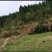 500亩山地出租