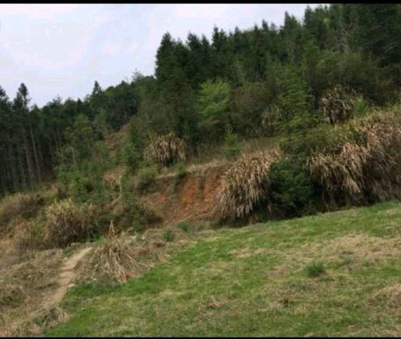 500亩山地出租