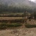 2000亩山地出租