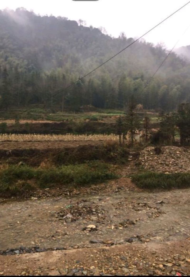2000亩山地出租
