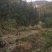 2000亩山地出租