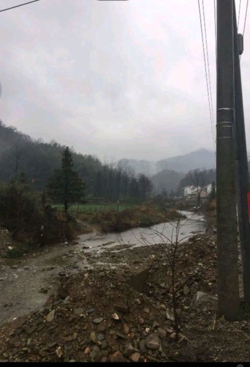 2000亩山地出租