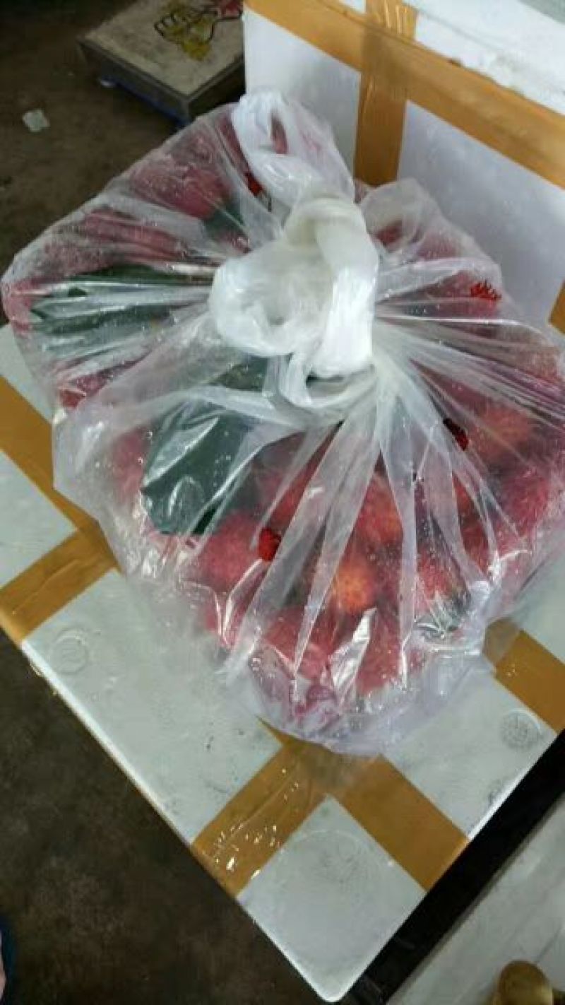 越南红毛丹，批发！140一件，32斤净果！