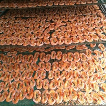南美白对虾烤虾冻虾食用