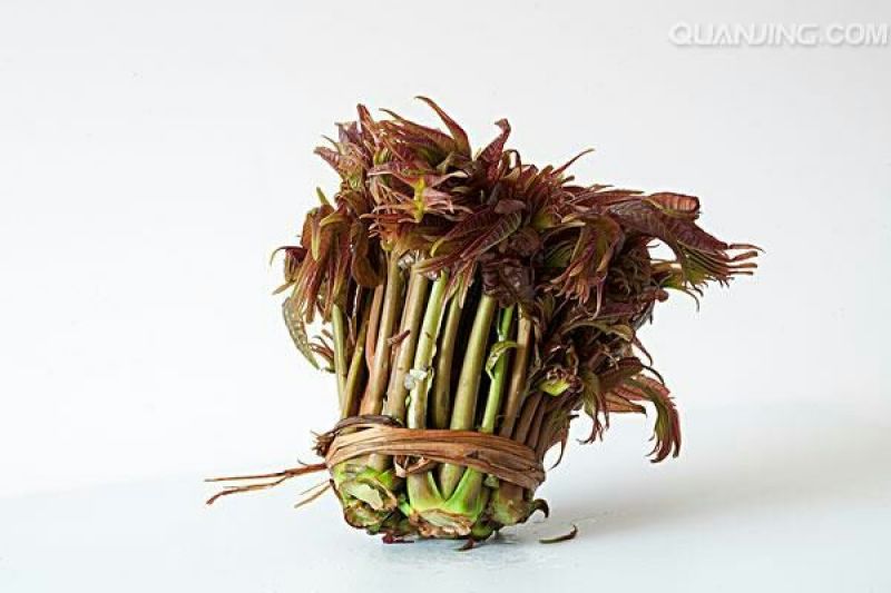 香椿芽