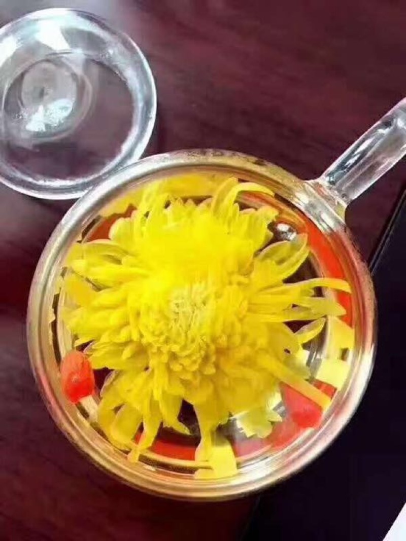 金丝皇菊茶一级