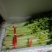 毛芹，毛芹，毛芹，毛芹，毛芹，毛芹，毛芹