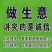 产地直销知母种子好管理好种植回收