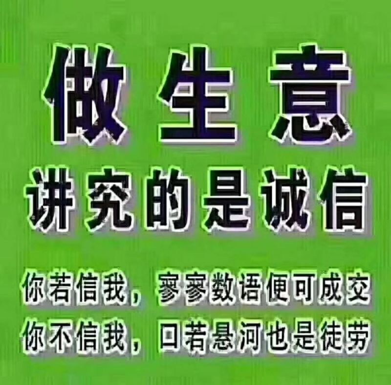 产地直销知母种子好管理好种植回收