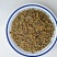 野菊花纯野生小黄菊颗粒泡茶喝去火苦凉茶散装晒干