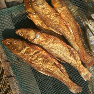 火焙鱼，翘嘴白