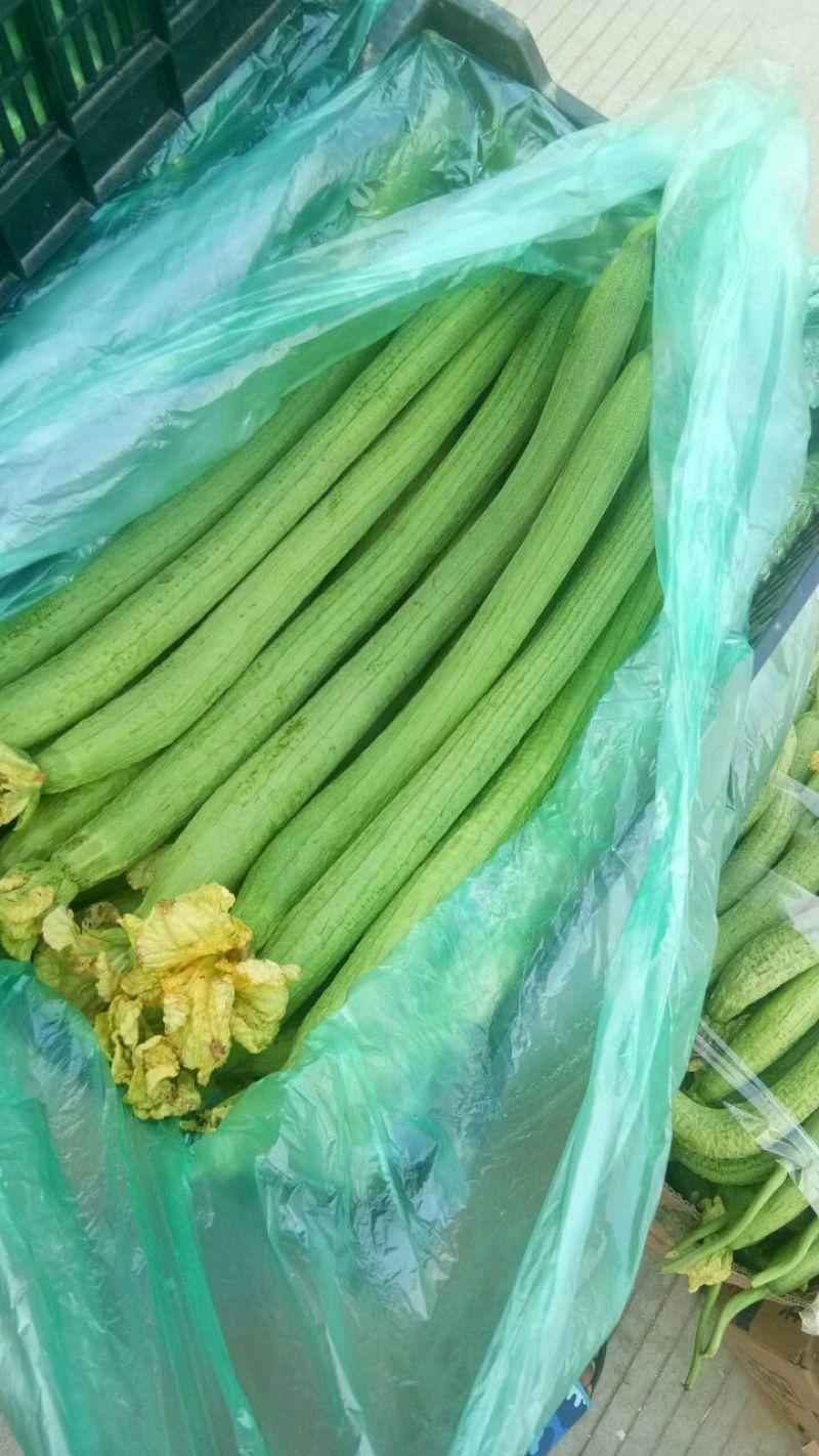 鲜花丝瓜