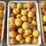 黄毛桃京东7黄毛桃做罐头专用，毛桃大量上市了