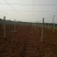 水泥柱子