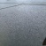 鲤鱼苗