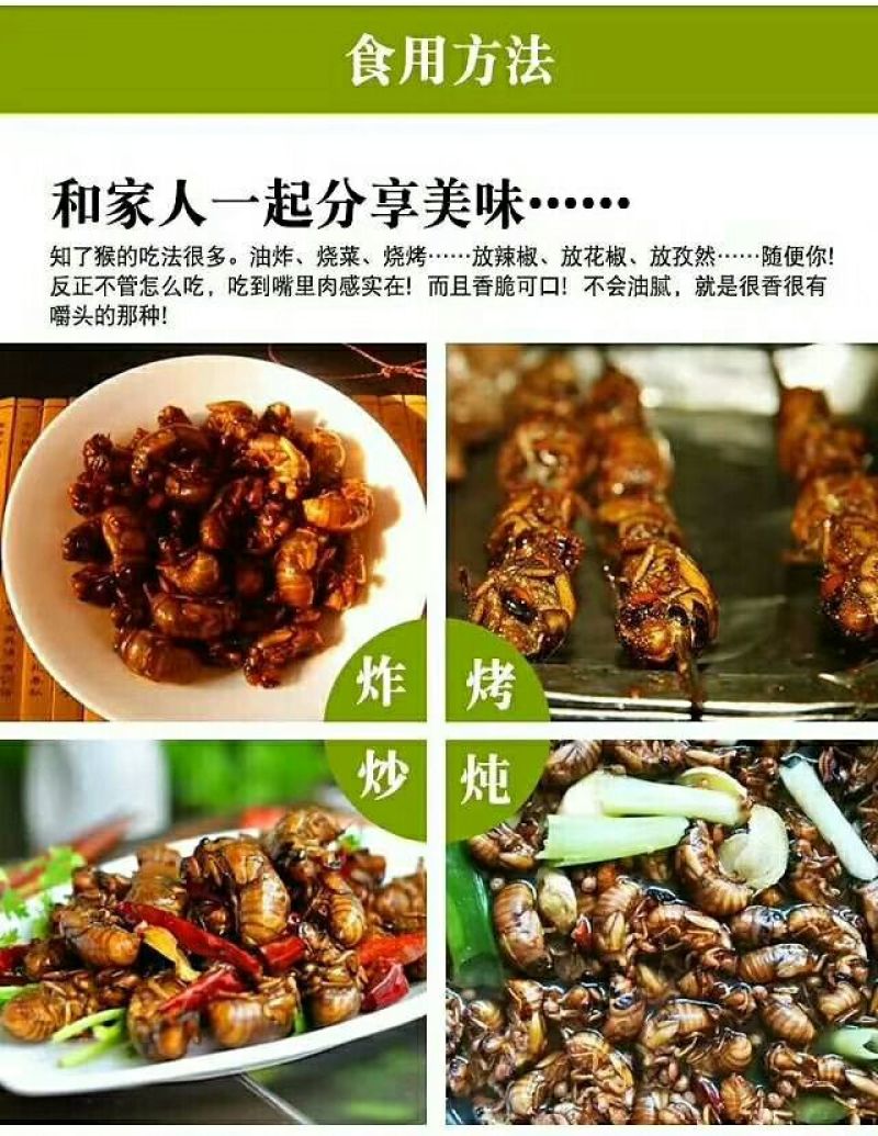金蝉食用