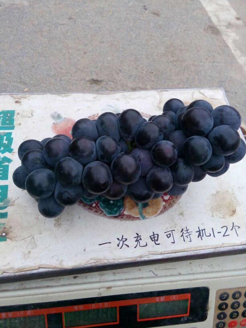 夏黑