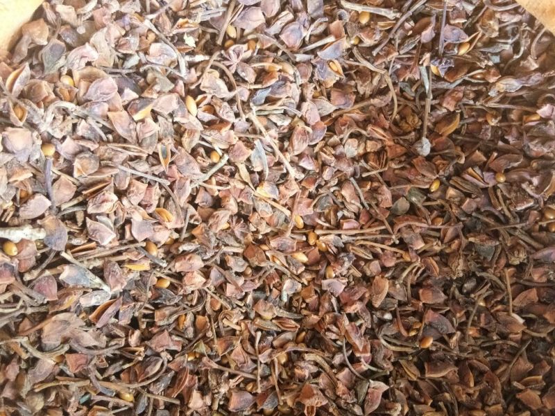 八角碎片统碎纯片全干碎各种规格价位不一样的