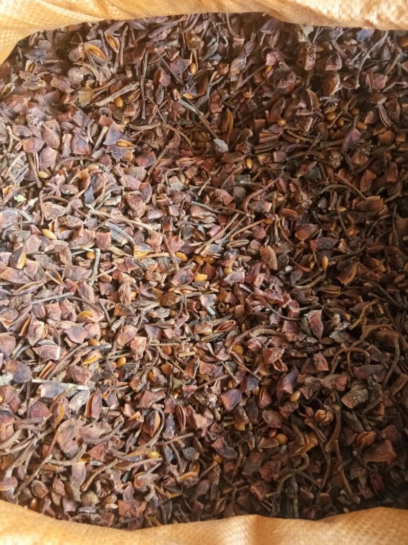 八角碎片统碎纯片全干碎各种规格价位不一样的