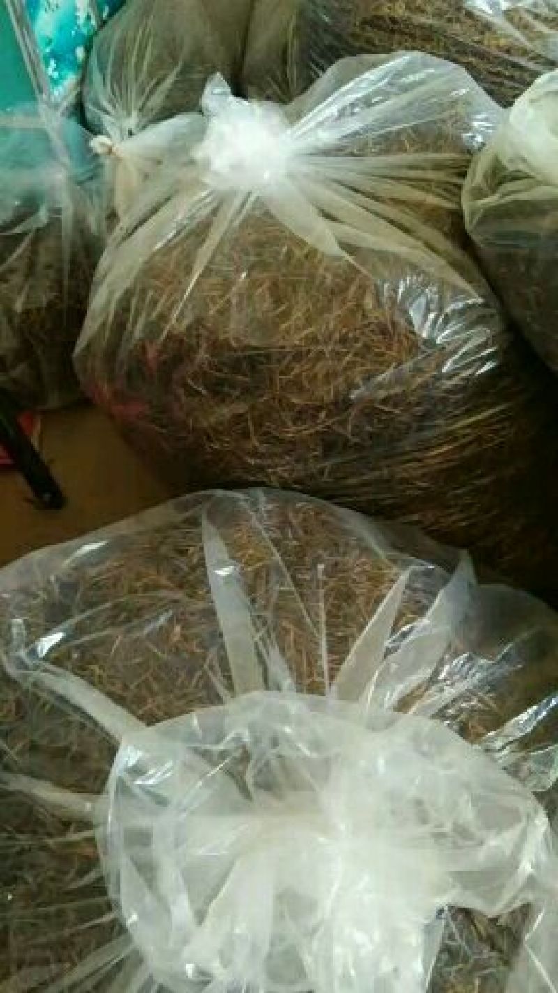 一级黄花菜