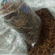一级黄花菜