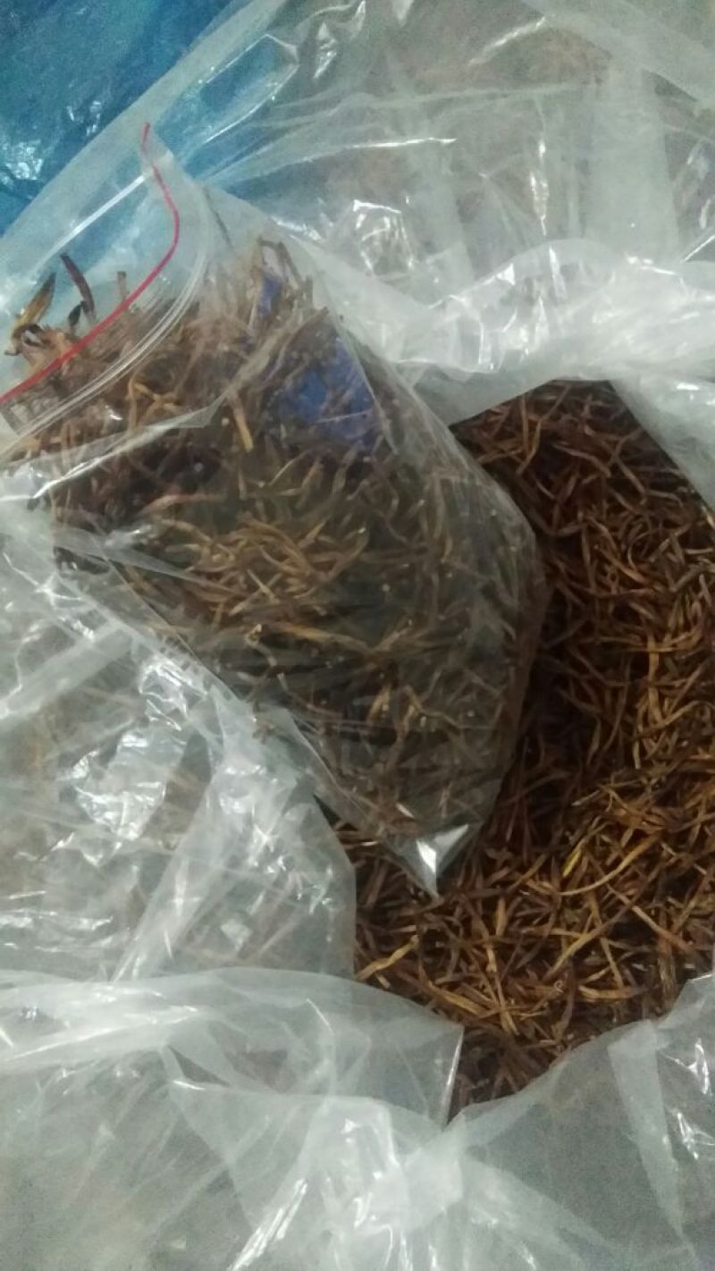 一级黄花菜