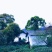 庐山云雾茶绿茶
