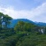 庐山云雾茶绿茶