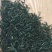 庐山云雾茶绿茶