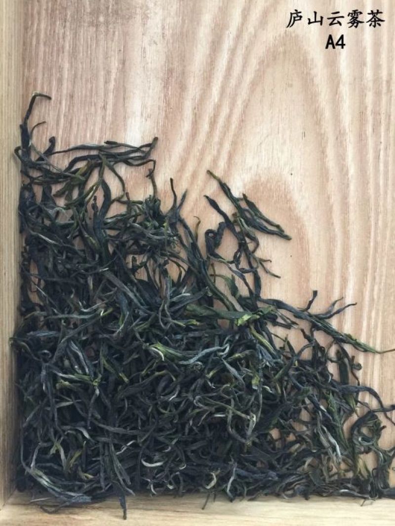 庐山云雾茶绿茶
