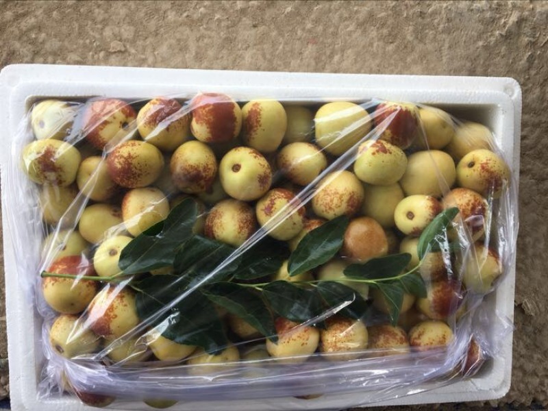 大荔冬枣统货