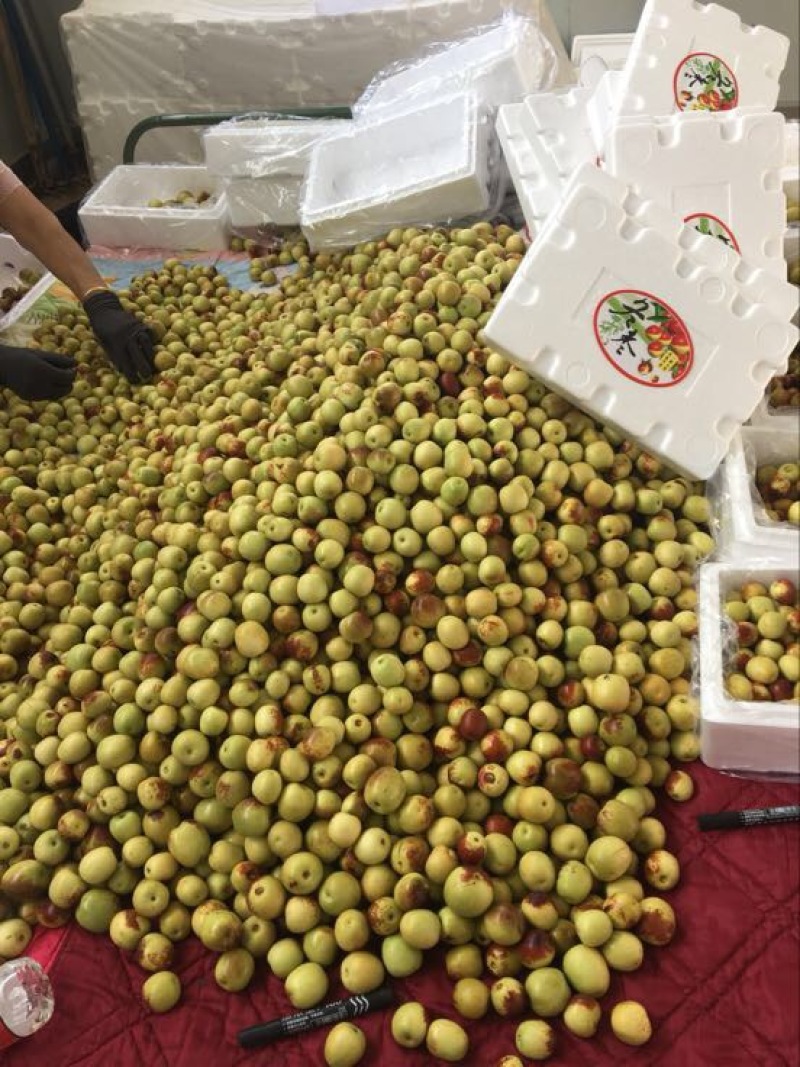 大荔冬枣统货