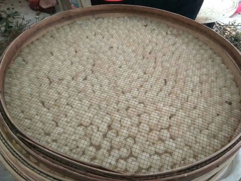 【有好货】高州桂圆肉无核特级龙眼肉干非莆田泰国货