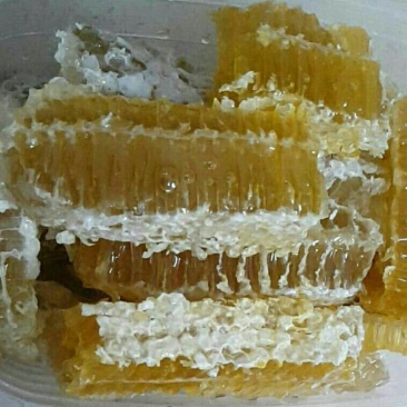 洋槐巢蜜蜂巢蜜浓度高全封盖自产自销,蜂场直发