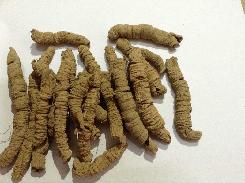 巴戟天巴戟肉抽芯选货干货2斤起包邮