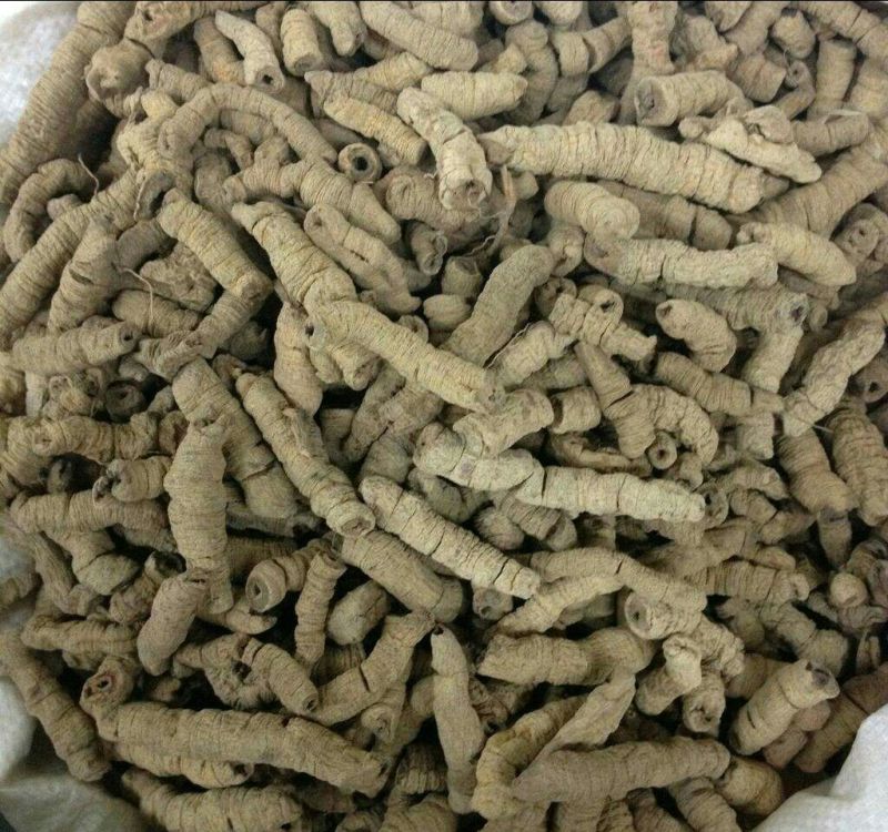 巴戟天巴戟肉抽芯选货干货2斤起包邮
