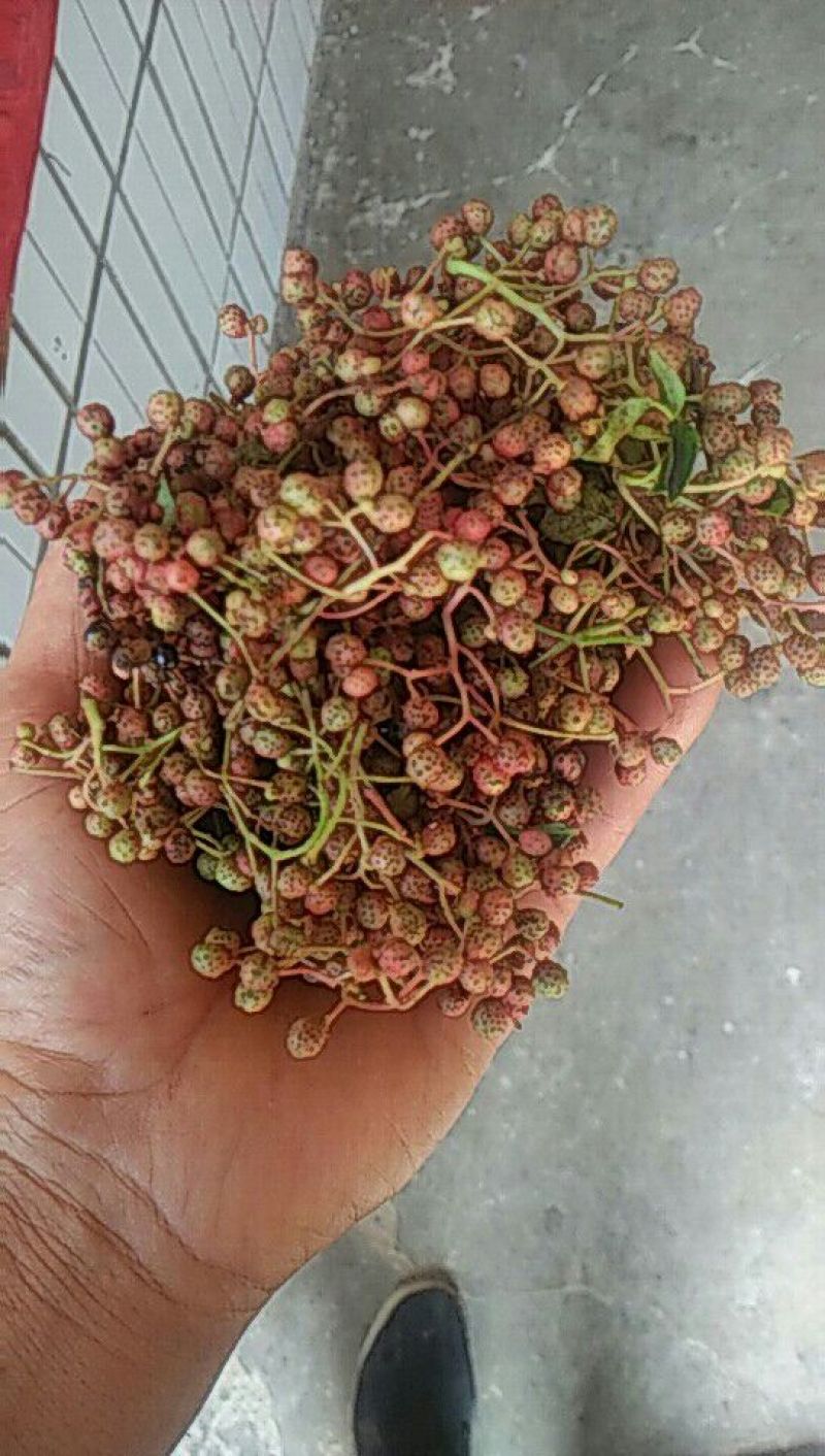 花椒