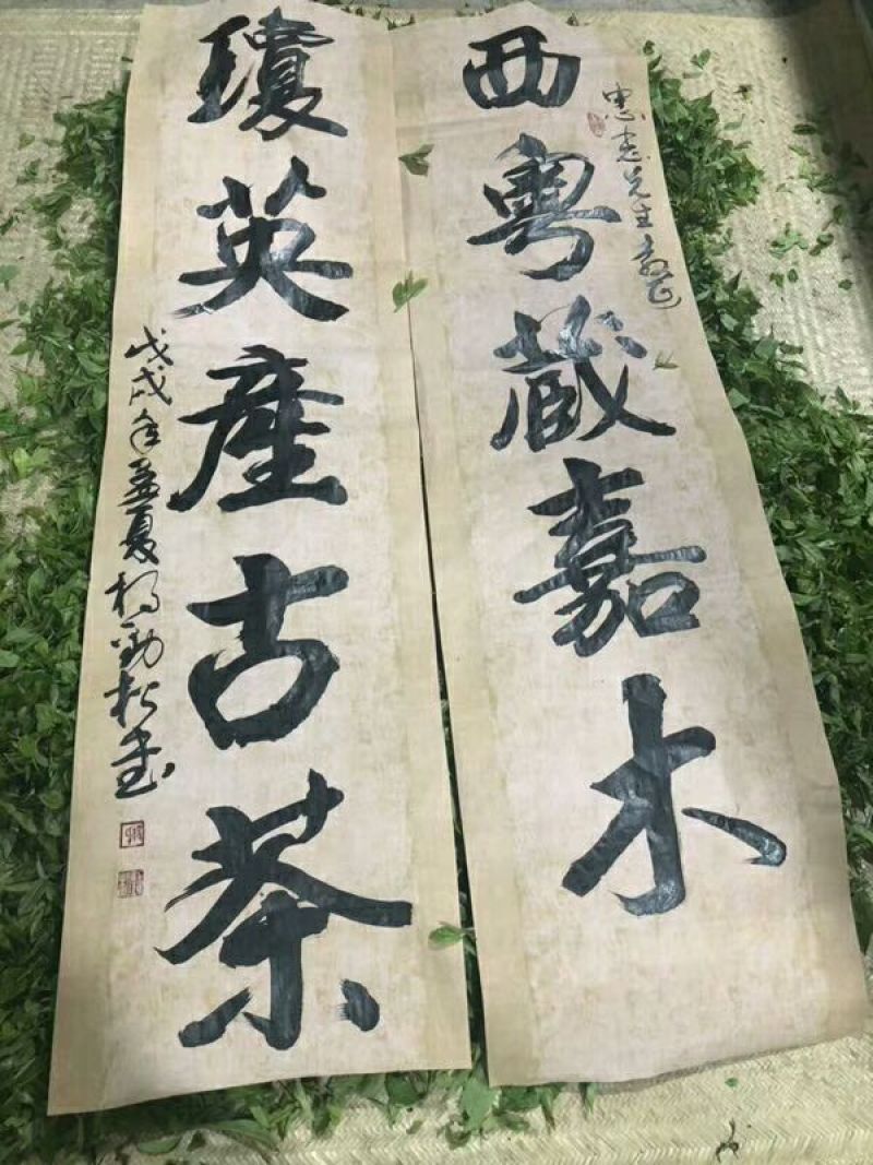 琼英古树茶，规格357克…生普