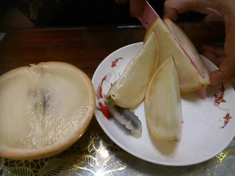 台湾黄晶果苗